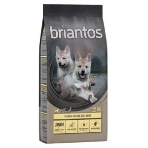 Multipack risparmio! 2 x Briantos - 2 x 12 kg Junior Pollo & Patate - senza cereali - ora in conveniente multipack 2 x 3 kg, 2 x 12 kg o 2 x 14 kg!
