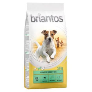 Briantos Adult Mini Agnello & Riso Crocchette per cane - Set %: 4 x 1 kg