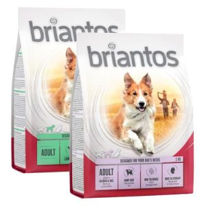 Set prova misto! 2 x 1 kg Briantos Crocchette senza cereali per cani - 1 kg Agnello & Riso + 1 kg Salmone & Riso - 1 kg Anatra & Patate + 1 kg Salmone & Patate