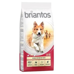 Briantos Adult Pollo & Riso Crocchette per cane - 14 kg