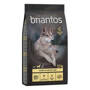 Multipack risparmio! 2 x Briantos - 2 x 12 kg Adult Mobility Pollo & Patate - ora in conveniente multipack 2 x 3 kg, 2 x 12 kg o 2 x 14 kg!