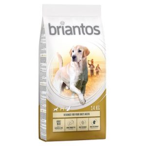 Briantos Adult Maxi Crocchette per cani - Set %: 2 x 14 kg