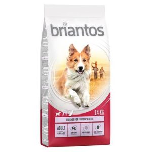 Briantos Adult Salmone & Riso Crocchette per cane - 14 kg - Set %: 4 x 1 kg