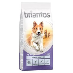 Briantos Adult Active Crocchette per cane - Set %: 2 x 14 kg
