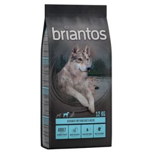 Briantos Adult Salmone & Patate - senza cereali Crocchette per cane - 12 kg - 4 kg (4 x 1 kg)