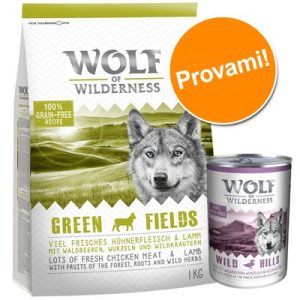 Set prova misto! Wolf of Wilderness Adult secco + umido