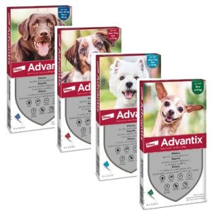 Lista prodotti Advantix Spot-on per cane - 4 pipette per cani 4-10 kg (1,0 ml)