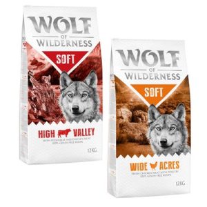 Multipack risparmio! 2 x 12 kg Wolf of Wilderness Adult Soft Crocchette semi-umide per cani - "Blue River" - Salmone